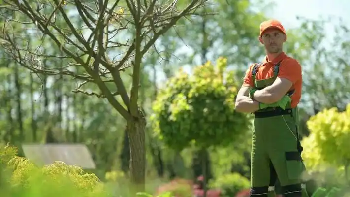 landscaping services Leander